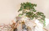 Туры в отель Floral hotel·guitingjunshe Hotel