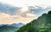 Туры в отель Floral hotel·guitingjunshe Hotel