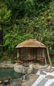Туры в отель Floral Hotel·Nanshan Bamboo Sea Rice Sugar Wild Luxury Hotel