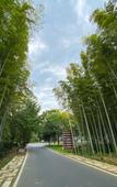 Туры в отель Floral Hotel·Nanshan Bamboo Sea Rice Sugar Wild Luxury Hotel