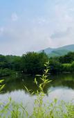 Туры в отель Floral Hotel·Nanshan Bamboo Sea Rice Sugar Wild Luxury Hotel