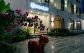 Туры в отель Floral Hotel·Nanshan Bamboo Sea Rice Sugar Wild Luxury Hotel