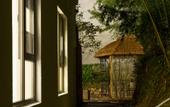 Туры в отель Floral Hotel·Nanshan Bamboo Sea Rice Sugar Wild Luxury Hotel