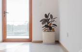 Туры в отель Floral Hotel· Shanghai Jiuxiang hotel (Chongming Forest Park store)