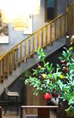 Туры в отель Floral Hotel ·Qingyun No.3 Hotel (Wuyuan Scenic Spot Shop)