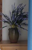 Туры в отель Floral Hotel ·Qingyun No.3 Hotel (Wuyuan Scenic Spot Shop)