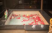 Туры в отель Floral Hotel·Nanjing Fusheng Hot Spring Hotel (Tangshan Hot Spring Resort)