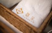 Туры в отель Floral Hotel·Nanjing Fusheng Hot Spring Hotel (Tangshan Hot Spring Resort)