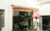 Туры в отель Floral Hotel·Nanjing Fusheng Hot Spring Hotel (Tangshan Hot Spring Resort)