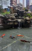 Туры в отель Floral Hotel·Wuyishan Mingzhongle Tea House hotel (Sangu Resort Shuizhuang Branch)