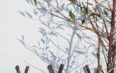 Туры в отель Floral Hotel·Qixi Meisu Hotel (Wuyuan Branch)