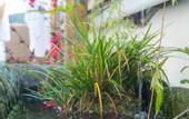 Туры в отель Floral Hotel·Qixi Meisu Hotel (Wuyuan Branch)
