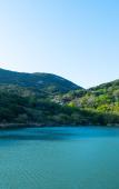 Туры в отель Floral Hotel·Zhoushan Putao Yishe B & B (Taohuadao store)