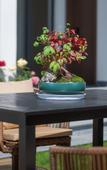 Туры в отель Floral Hotel·Zhoushan Putao Yishe B & B (Taohuadao store)