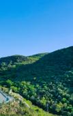 Туры в отель Floral Hotel·Zhoushan Putao Yishe B & B (Taohuadao store)