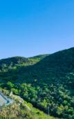 Туры в отель Floral Hotel·Zhoushan Putao Yishe B & B (Taohuadao store)