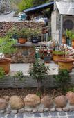 Туры в отель Floral Hotel · Mountain Whisper Hotel(Shennongjia Wooden fish store)