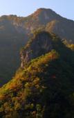 Туры в отель Floral Hotel · Mountain Whisper Hotel(Shennongjia Wooden fish store)