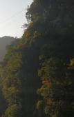 Туры в отель Floral Hotel · Mountain Whisper Hotel(Shennongjia Wooden fish store)