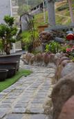 Туры в отель Floral Hotel · Mountain Whisper Hotel(Shennongjia Wooden fish store)
