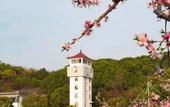 Туры в отель Floral Hotel·Wuxi Yangshan taoyuan Hotel