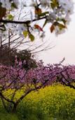 Туры в отель Floral Hotel·Wuxi Yangshan taoyuan Hotel