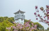 Туры в отель Floral Hotel·Wuxi Yangshan taoyuan Hotel