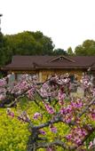 Туры в отель Floral Hotel·Wuxi Yangshan taoyuan Hotel