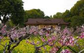 Туры в отель Floral Hotel·Wuxi Yangshan taoyuan Hotel