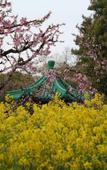Туры в отель Floral Hotel·Wuxi Yangshan taoyuan Hotel