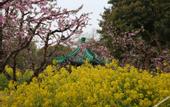 Туры в отель Floral Hotel·Wuxi Yangshan taoyuan Hotel