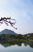 Туры в отель Floral Hotel·Wuxi Yangshan taoyuan Hotel