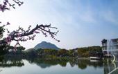 Туры в отель Floral Hotel·Wuxi Yangshan taoyuan Hotel