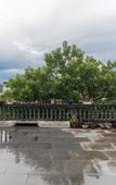 Туры в отель Floral Hotel·Xincheng Hotel in Wuyi Mountain Hotel