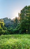 Туры в отель Floral Hotel·Xincheng Hotel in Wuyi Mountain Hotel