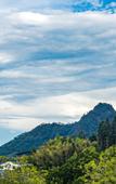 Туры в отель Floral Hotel·Xincheng Hotel in Wuyi Mountain Hotel