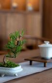 Туры в отель Floral Lux Hotel · One valley and one villa Hotel (South Gate store of Huangshan Scenic Area)