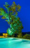 Туры в отель Floral Hotel·Wuyi Shandu Ancient Ship Wood Hot Spring Hotel