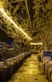 Туры в отель Floral Hotel·Wuyi Shandu Ancient Ship Wood Hot Spring Hotel