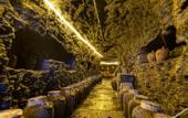 Туры в отель Floral Hotel·Wuyi Shandu Ancient Ship Wood Hot Spring Hotel