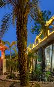 Туры в отель Floral Hotel·Wuyi Shandu Ancient Ship Wood Hot Spring Hotel