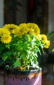 Туры в отель Floral Hotel·Yixing Sanpin cloud Hotel