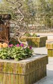 Туры в отель Floral Hotel·Wendu hotel (Chongzhou Dezi Old Town