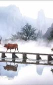 Туры в отель Floral Hotel·Xinzhu Hotel (Xiandu scenic spot shop)