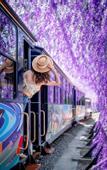Туры в отель Ahn Lan Xinchang
