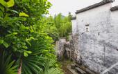 Туры в отель Floral Hotel·Huangshan Xidi Zhuchuan Hotel(Huangshan Xidi Scenic Spot)