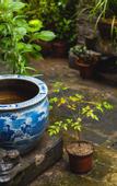 Туры в отель Floral Hotel·Huangshan Xidi Zhuchuan Hotel(Huangshan Xidi Scenic Spot)