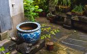 Туры в отель Floral Hotel·Huangshan Xidi Zhuchuan Hotel(Huangshan Xidi Scenic Spot)