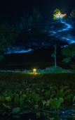 Туры в отель Floral Hotel·Huangshan Xidi Zhuchuan Hotel(Huangshan Xidi Scenic Spot)