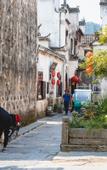 Туры в отель Floral Hotel·Huangshan Xidi Zhuchuan Hotel(Huangshan Xidi Scenic Spot)